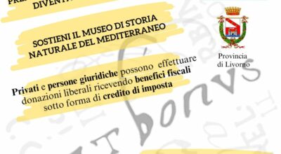 Provincia di Livorno: il Museo di Storia Naturale lancia la campagna Art Bonus per la raccolta di donazioni